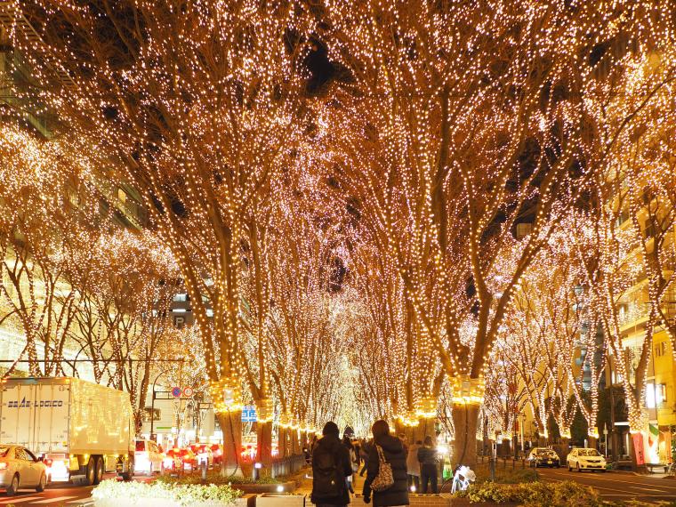 北のクリスマスをお得に満喫！JRが2種の「お先にトクだ値」発売