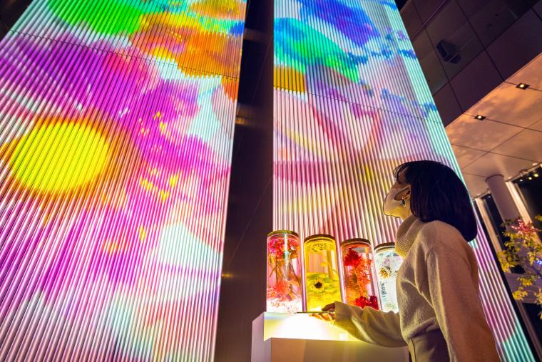 大阪・あべのハルカス「NAKED CITY LIGHT FANTASIA 2023」