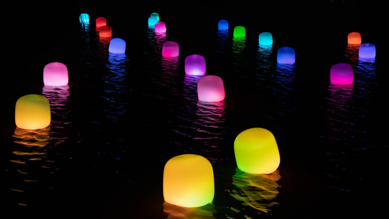 「チームラボ ボタニカルガーデン 大阪」作品が秋の装いに