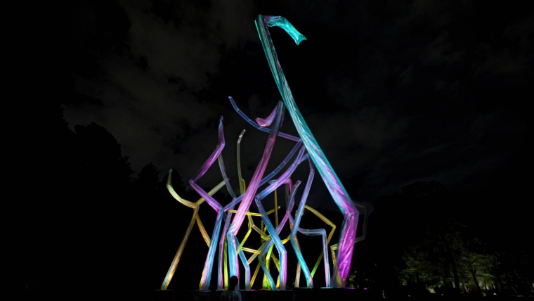 「チームラボ ボタニカルガーデン 大阪」作品が秋の装いに