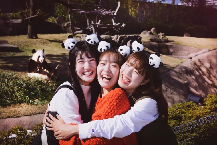 JR西と和歌山「アドベンチャーワールド」が学割キャンペーン実施