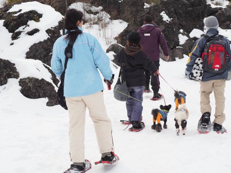 4年ぶりの冬季営業！群馬嬬恋「鬼押出し園」で白と黒の絶景コントラストを