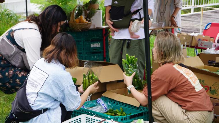 野菜の詰め放題の様子