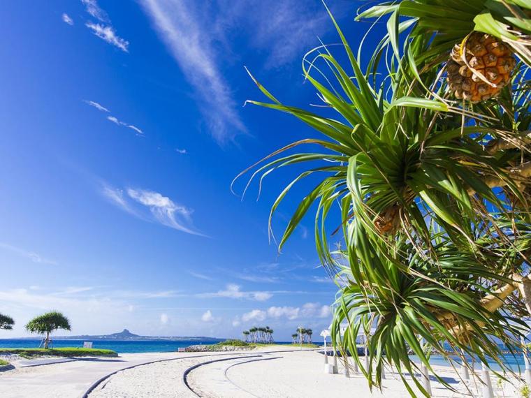 エメラルドビーチ