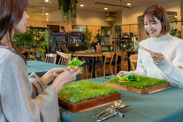 ＢＩＯ－ＲＥＳＯＲＴ　ＨＯＴＥＬ　＆　ＳＰＡ　Ｏ　Ｐａｒｋ　ＯＧＯＳＥ（オーパークおごせ）