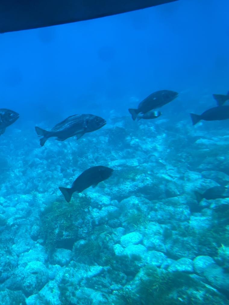 子連れで島根の離島「隠岐」へ！海辺のジオホテル・Entô（エントウ）と海中を楽しむ潜水船体験！