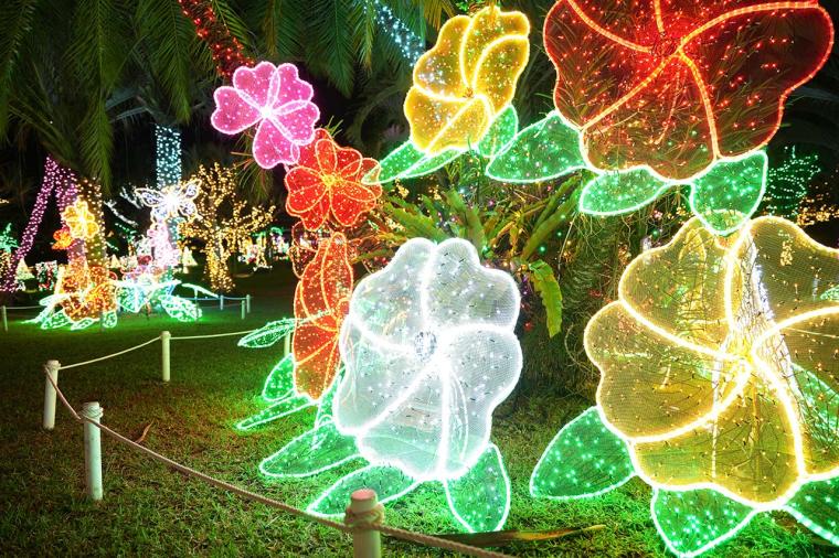 東南植物楽園『沖縄南国イルミネーション』