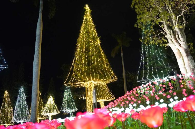 東南植物楽園『沖縄南国イルミネーション』