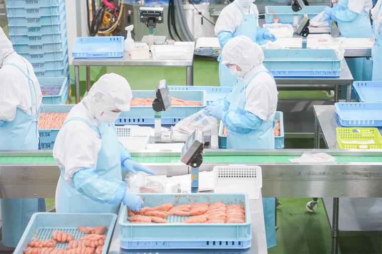 明太子食べ放題のランチも！「やまやファクトリーテラス」で工場見学