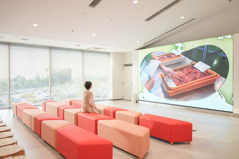 明太子食べ放題のランチも！「やまやファクトリーテラス」で工場見学