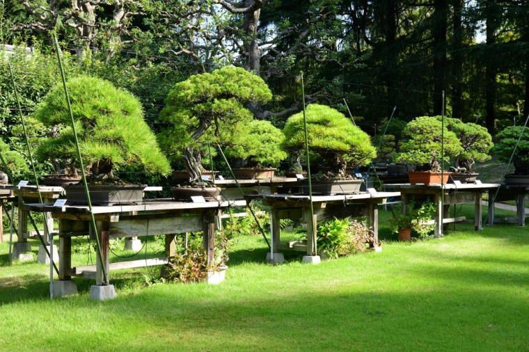 迎賓館赤坂離宮