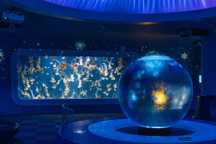 新江ノ島水族館「ジュエリウム」
