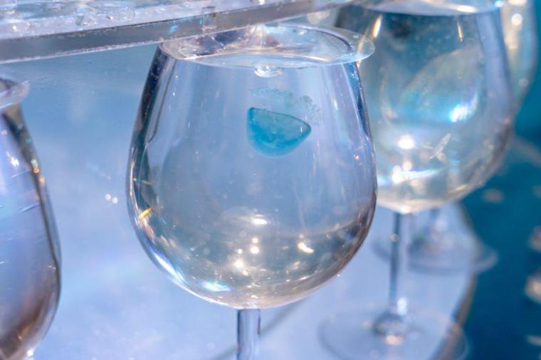 新江ノ島水族館「ジュエリウム」