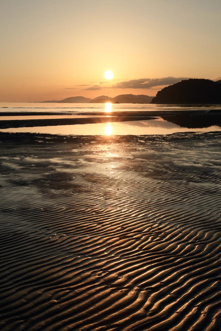 新舞子浜の干潟