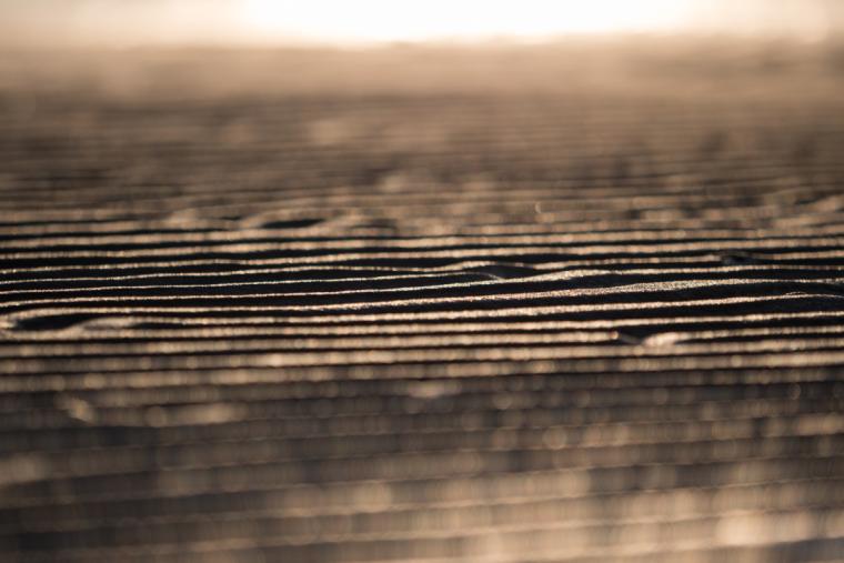 新舞子浜の干潟