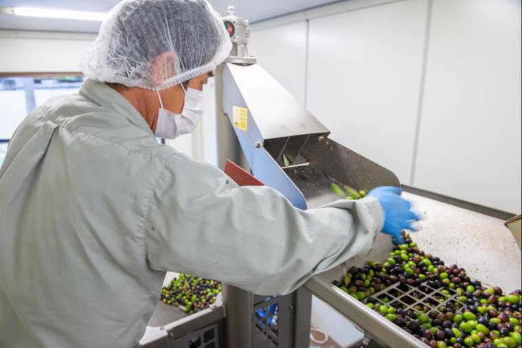 ナガシマファーム