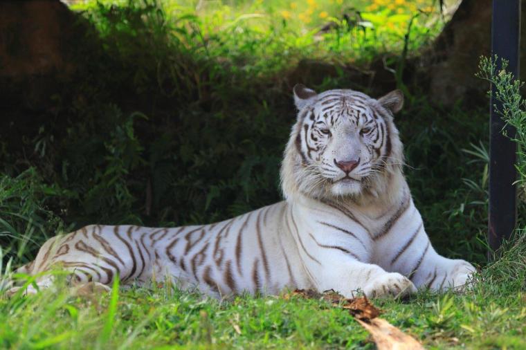 伊豆観光おすすめ33選！定番、穴場スポットにグルメ情報も