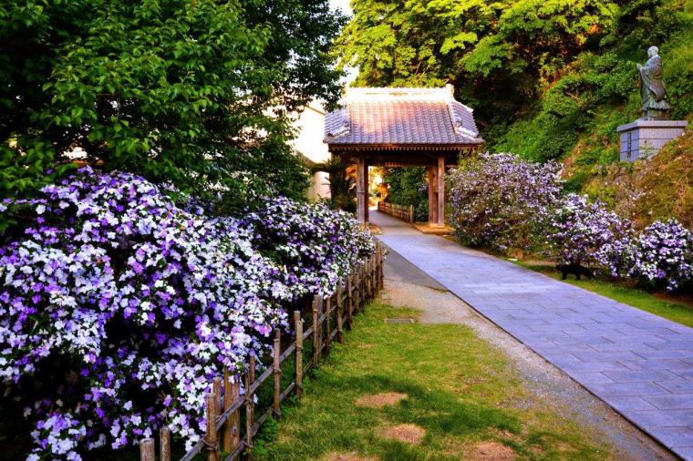 伊豆観光おすすめ33選！定番、穴場スポットにグルメ情報も