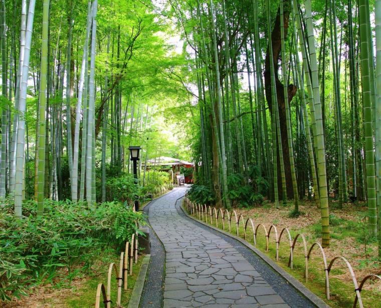 伊豆観光おすすめ33選！定番、穴場スポットにグルメ情報も