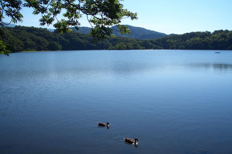 伊豆観光おすすめ33選！定番、穴場スポットにグルメ情報も