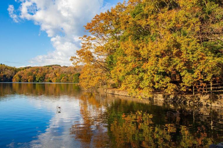 伊豆観光おすすめ33選！定番、穴場スポットにグルメ情報も