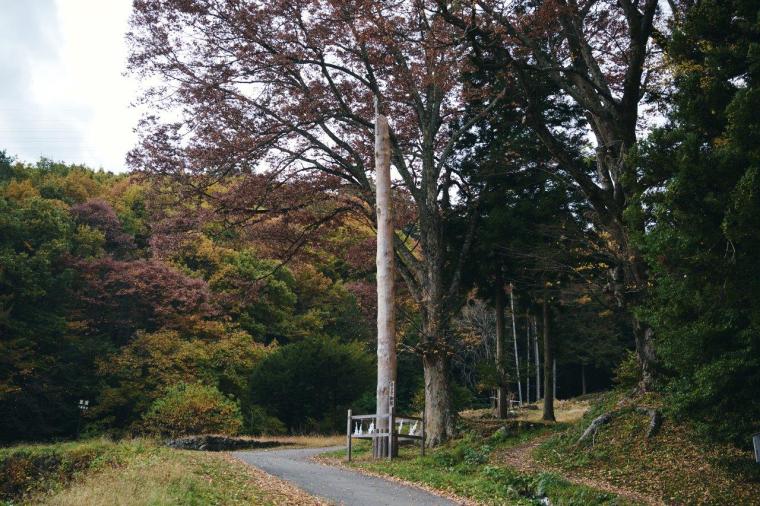 長野県・諏訪大社参拝モデルコース