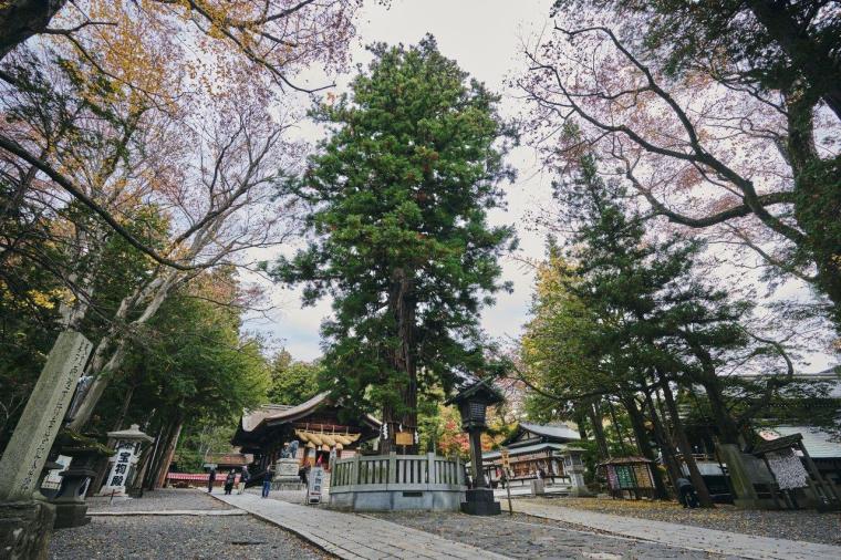 長野県・諏訪大社参拝モデルコース