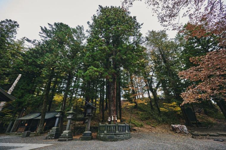 長野県・諏訪大社参拝モデルコース