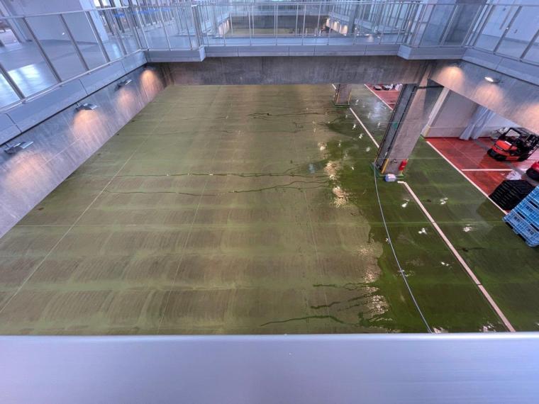 鳥取県境港市に日本唯一のベニズワイガニ専用市場が誕生！競り見学もできる超巨大施設に潜入