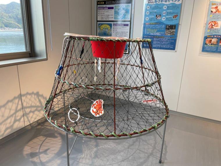 鳥取県境港市に日本唯一のベニズワイガニ専用市場が誕生！競り見学もできる超巨大施設に潜入