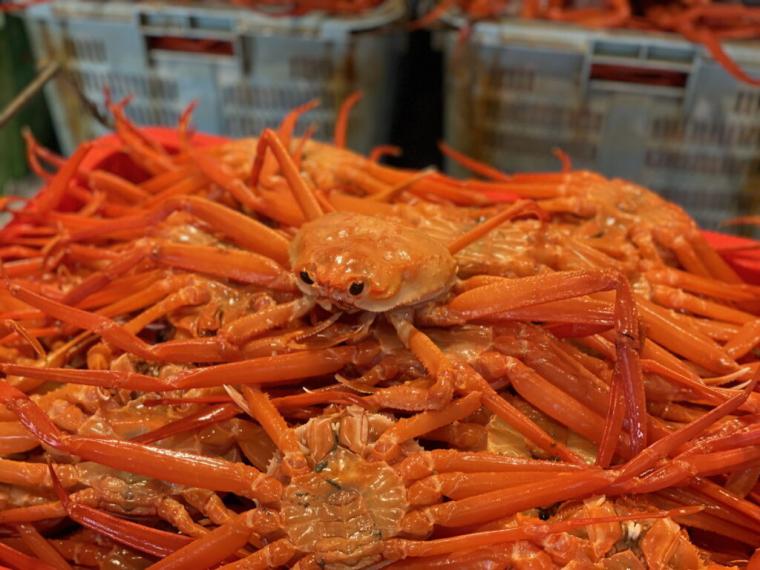  カニ専門店が教える！美味しいカニの見極め方・上手な食べ方｜境港水産物直売センター