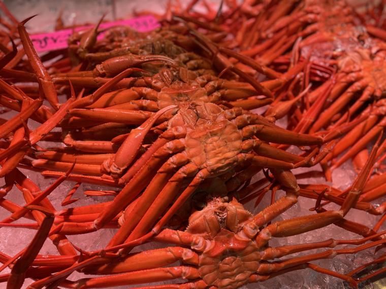  カニ専門店が教える！美味しいカニの見極め方・上手な食べ方｜境港水産物直売センター