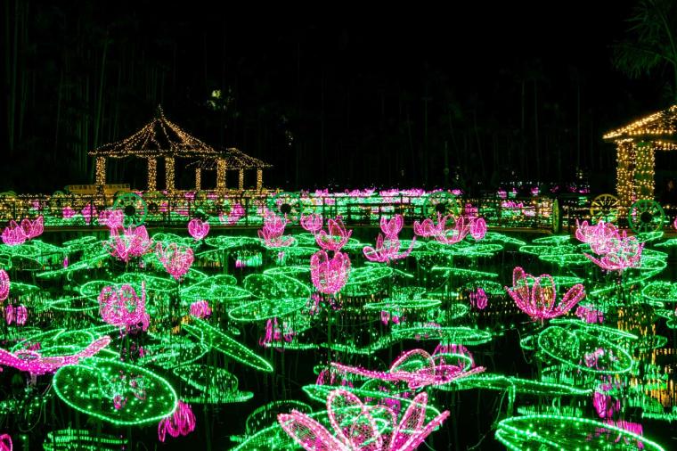 沖縄南国イルミネーション （東南植物楽園）