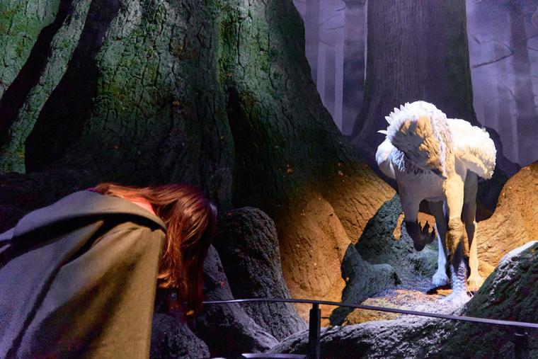 スタジオツアー東京　体験