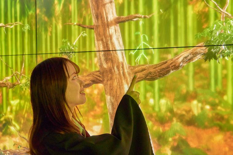 スタジオツアー東京　体験