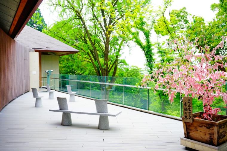 宝満宮 竈門神社