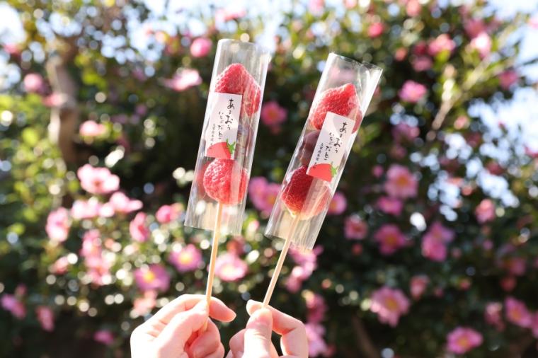 天山 太宰府本店