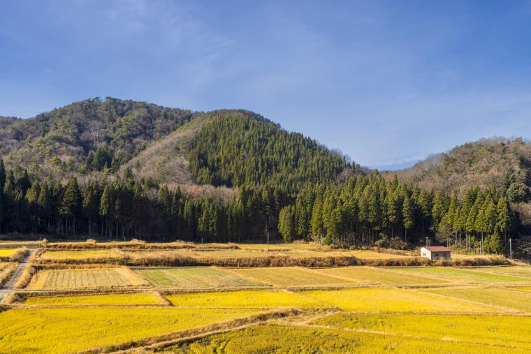 オーベルジュオーフ