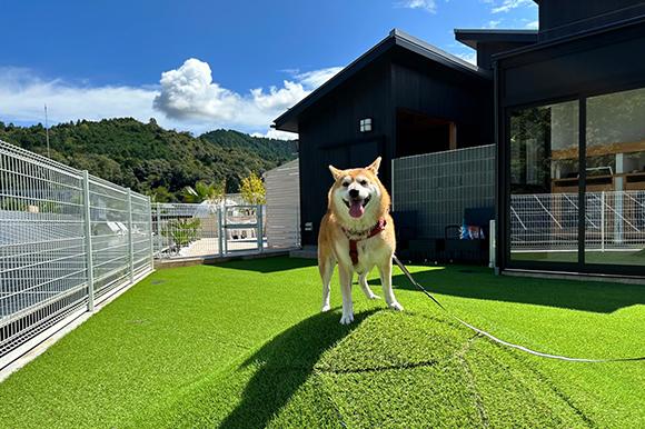 滋賀県「フューチャーリゾート」ドッグラン