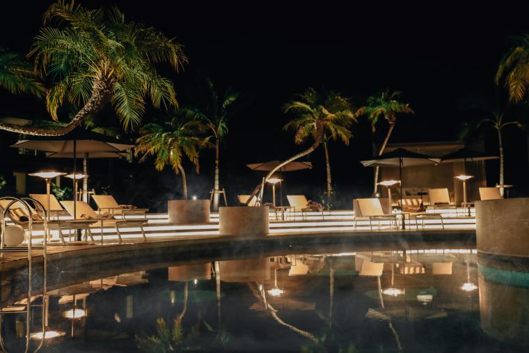 ヤシの木などの植物に囲まれた「SIGNATURE POOL」