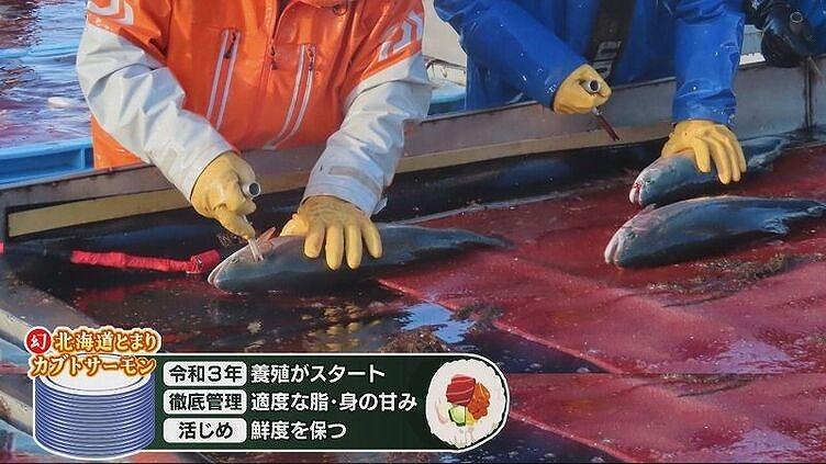 回転すし　活一鮮