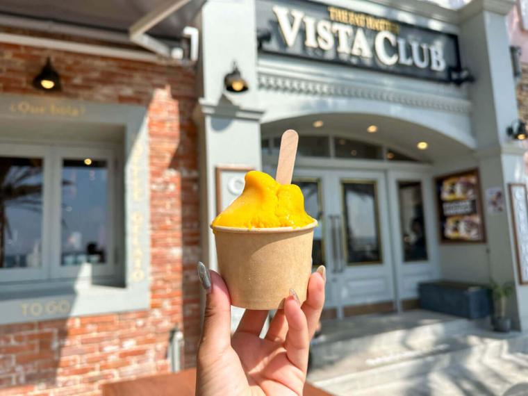 VISTA CLUB（ヴィスタクラブ）