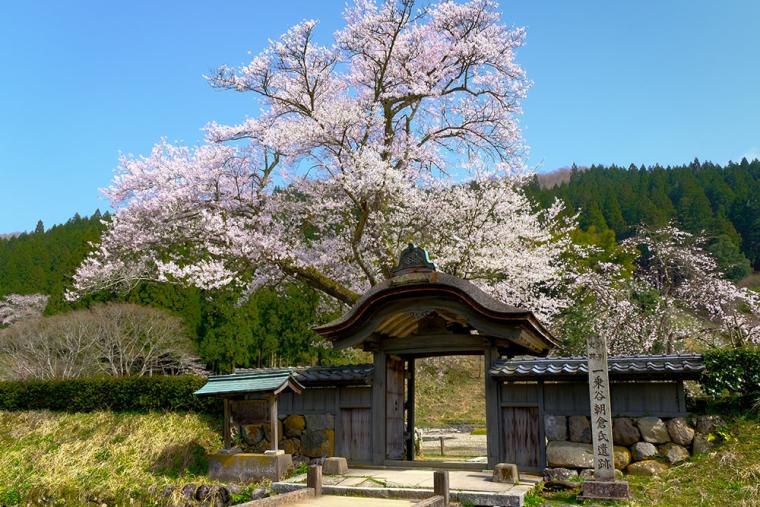 一乗谷朝倉氏遺跡（福井県）