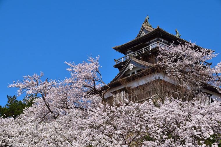 丸岡城（福井県）