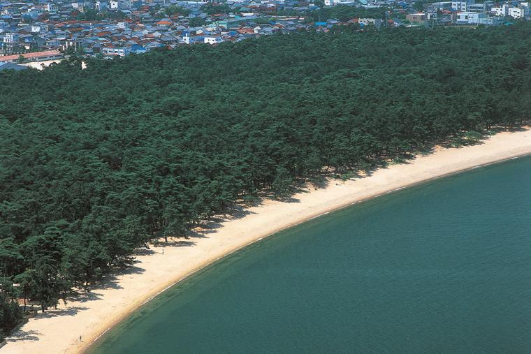 気比の松原（福井県敦賀）