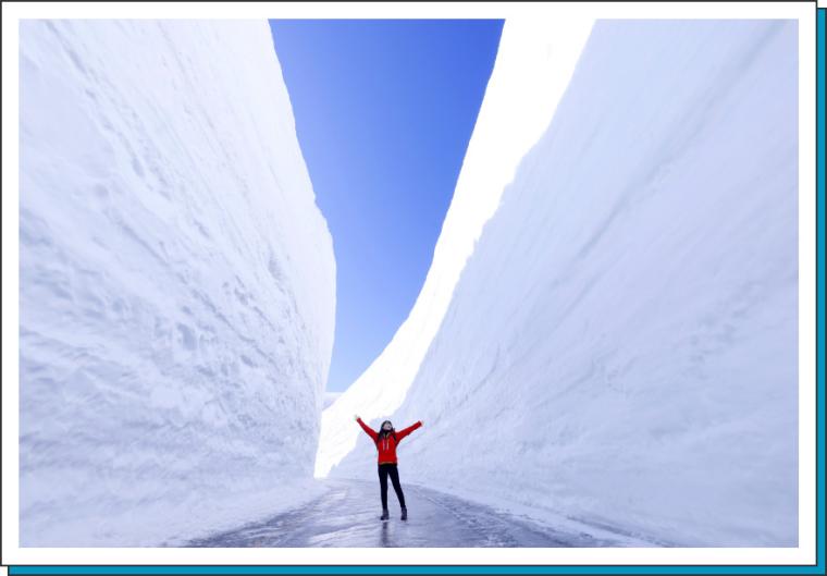 最も高いところでは約20mある「雪の大谷」