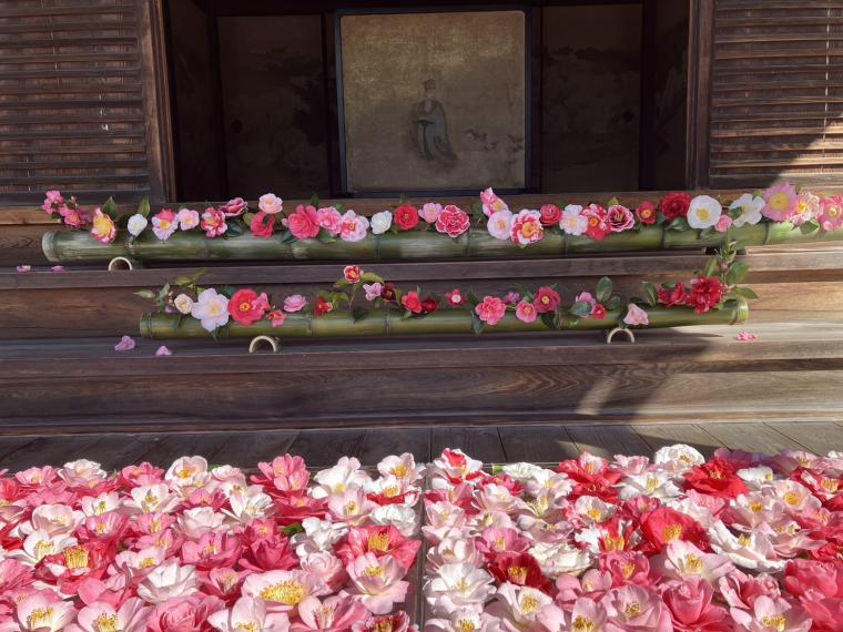 京都「霊鑑寺」の椿