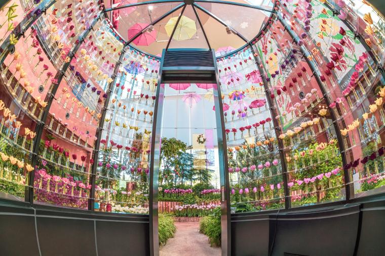 「となみチューリップフェア」チューリップ四季彩館