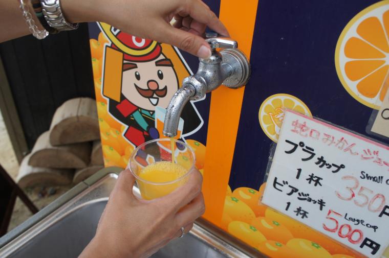 愛媛県に旅した人が選ぶご当地グルメ・旅めしランキング