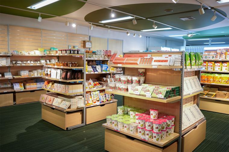 アクティブに冬を楽しむ！トマム ザ・タワーで刺激的な体験を